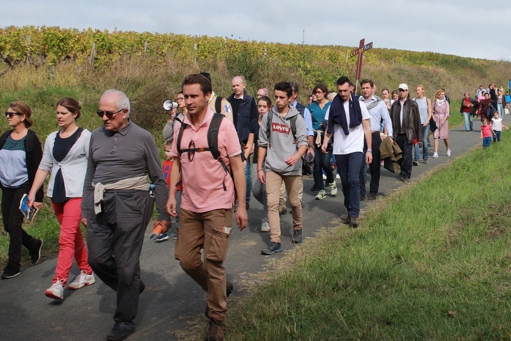 pélé verdelais 2019